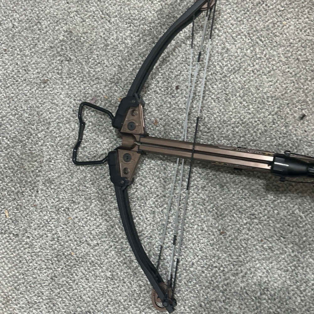 Ten point crossbow