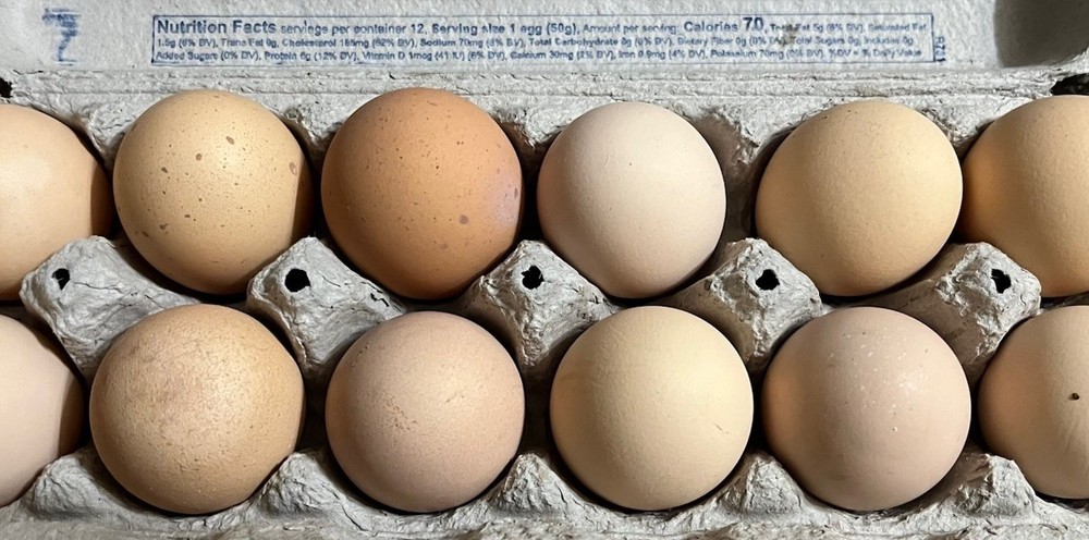 BYM Hatching Eggs