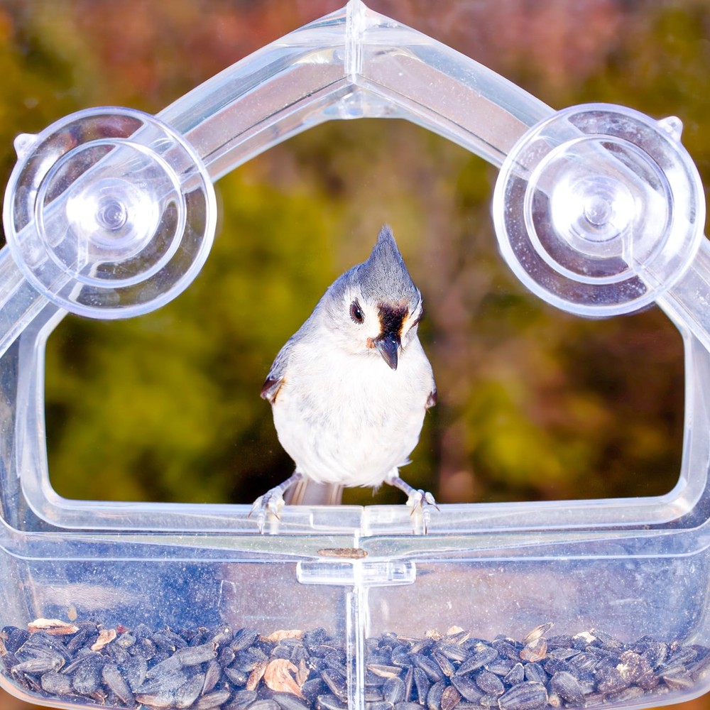 Clear Plastic Window Bird Feeder Suction Cups, 5-Pack, Replacement