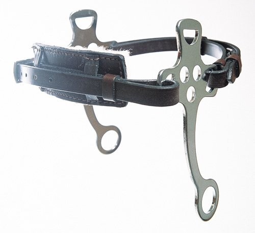 BLENHEIM ENGLISH HACKAMORE