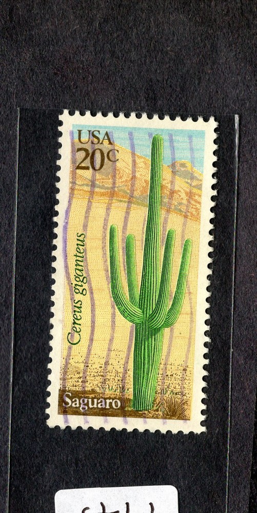 1981 Stamp #1945 Saguaro Used