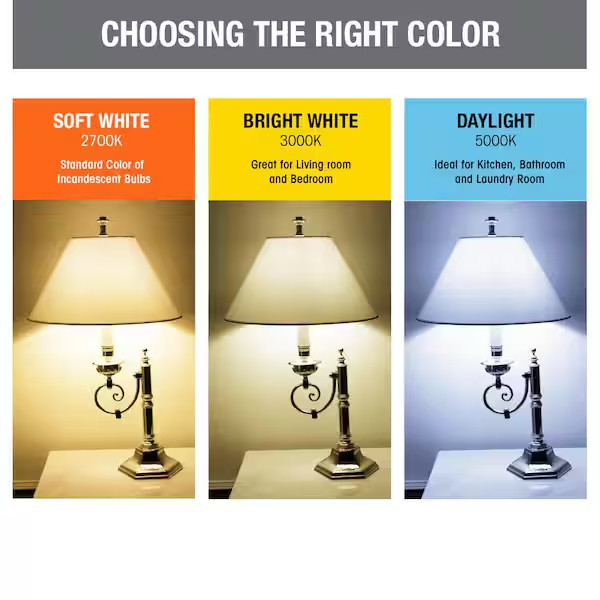 200-Watt A21 High Brightness Clear E26 Medium Base Light Bulb 2700K (6-Pack)