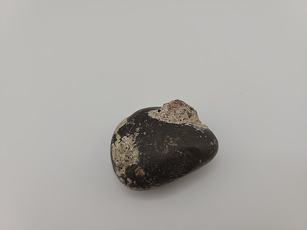 Real Permineralized Reptile Egg Fossil