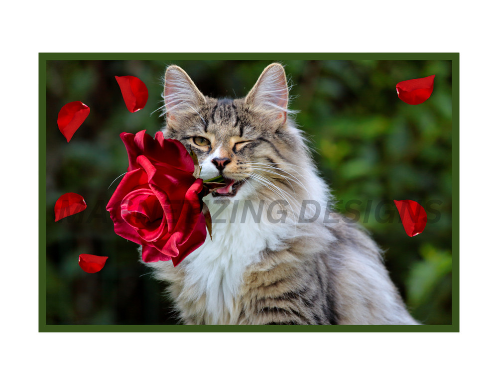 Cute Cat with Rose Flexible Refrigerator Magnet