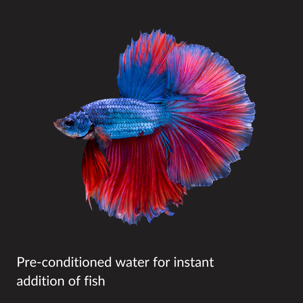 By API Betta Water 64 oz Bottle