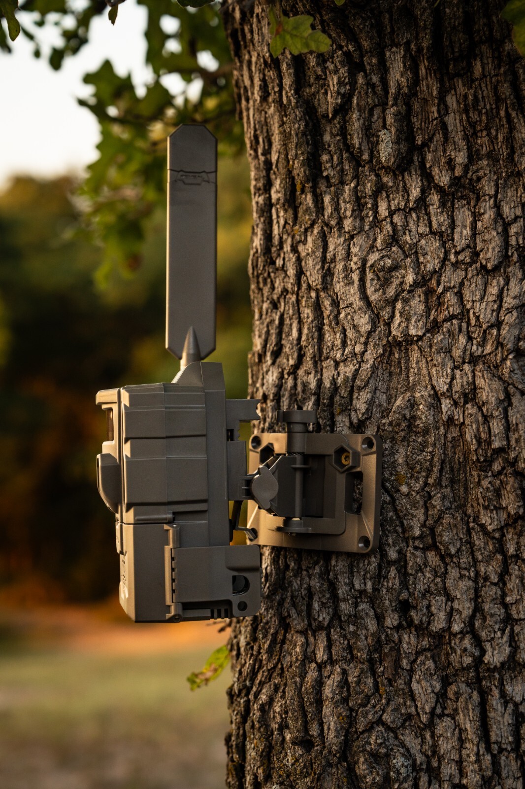 Tactacam Reveal Tree mount