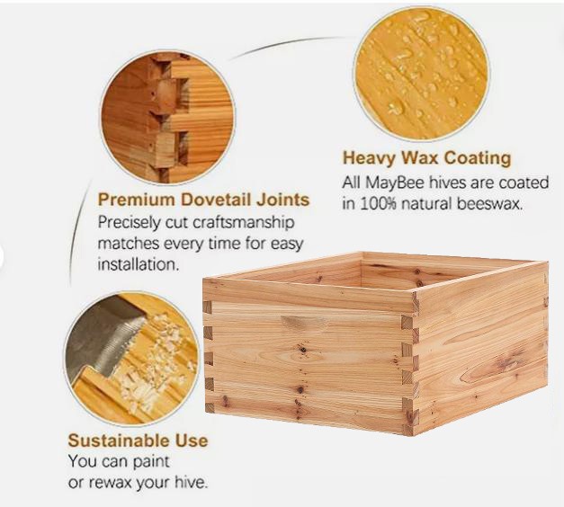 100% Beeswax Beehive 10 Frame Add-On Super, 10 Deep Frames Langstroth Beekeeping