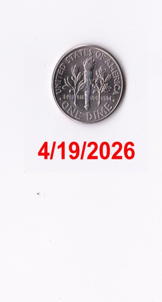 2009P ROOSEVELT DIME SEMI-KEY!Circulated!