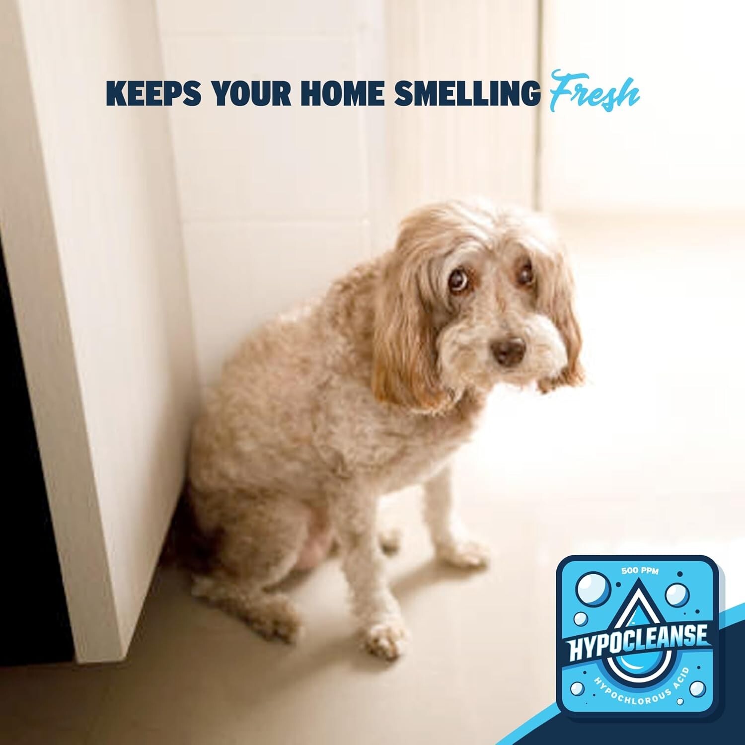 Hypochlorous Acid 500ppm 1 Gallon - Medical & Lab Grade - Pet Safe Disenfectant