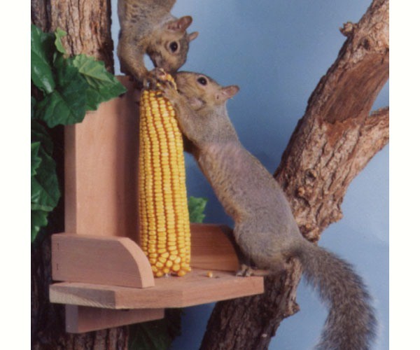 SONGBIRD ESSENTIALS - Squirrel Platform Feeder SEWF2040