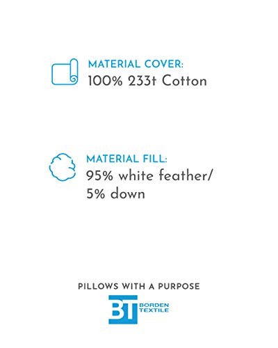 Pillow Inserts - Pack of 2 - Rectangular Decorative Throw or Sham 12" x 20"