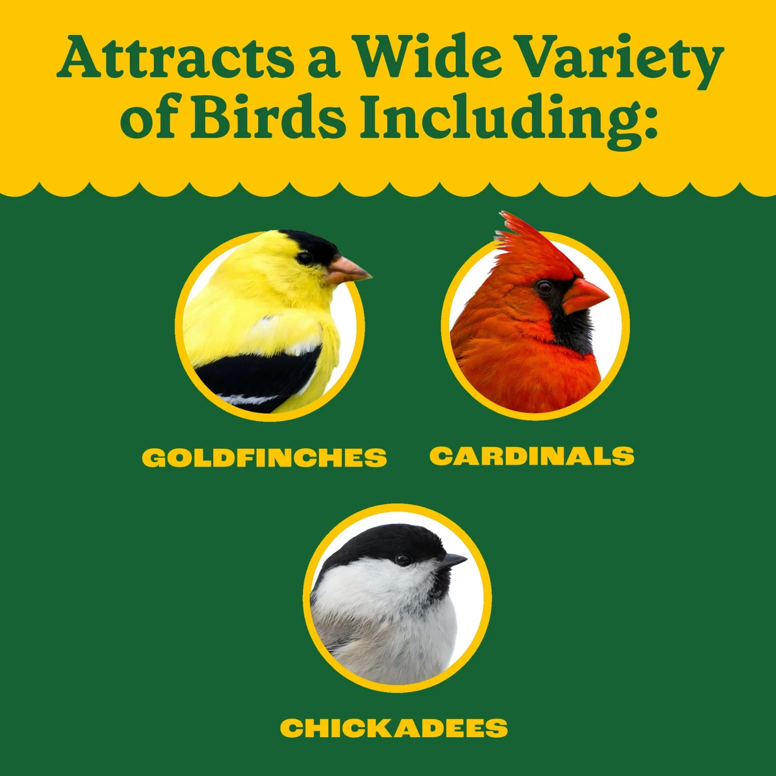 Pennington Classic Dry Wild Bird Feed and Wild Bird Seed, 10 lb. New Bag, 1 Pack