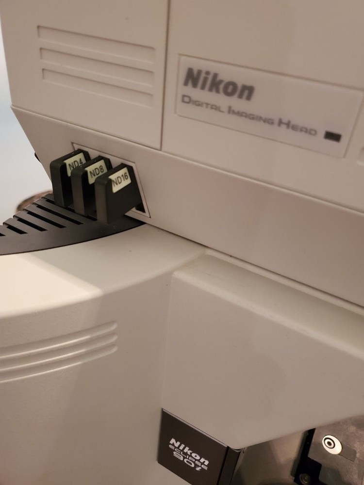 Nikon Eclipse 90i Fluorescence Microscope with Digital Imaging Head