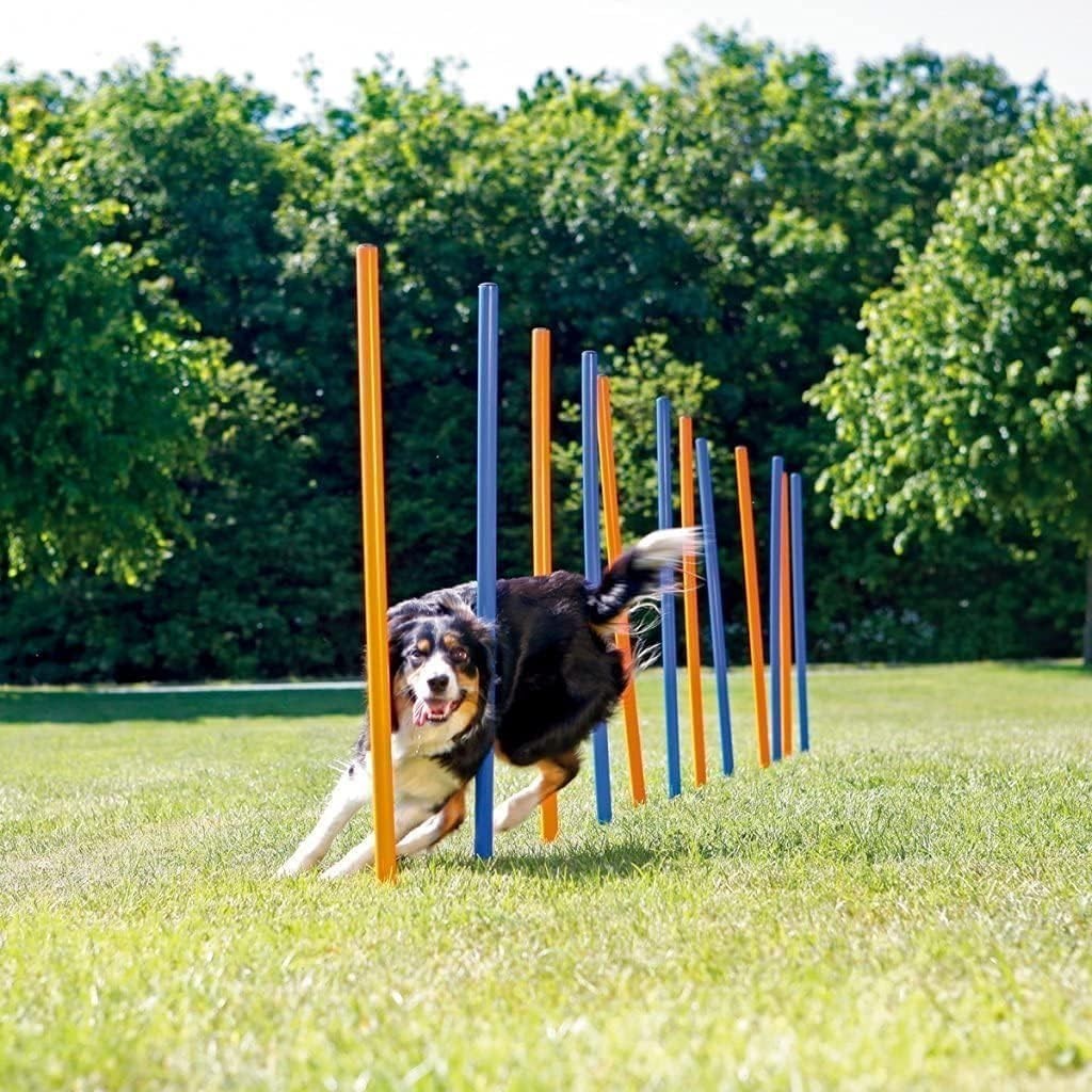 Portable 12 Weave Poles Agility Training Equipment for Dog Exercise Outdoors