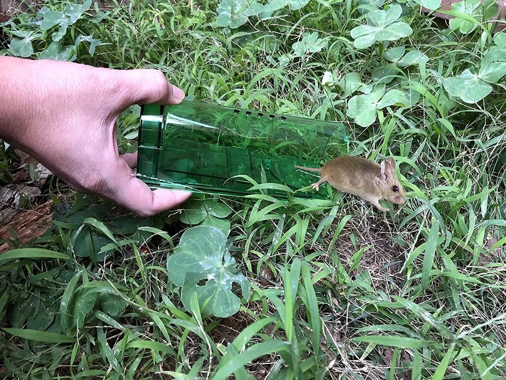 2-Pack Humane Mouse Traps Live Catch & Release No Kill Rat Mice Trap Reusable