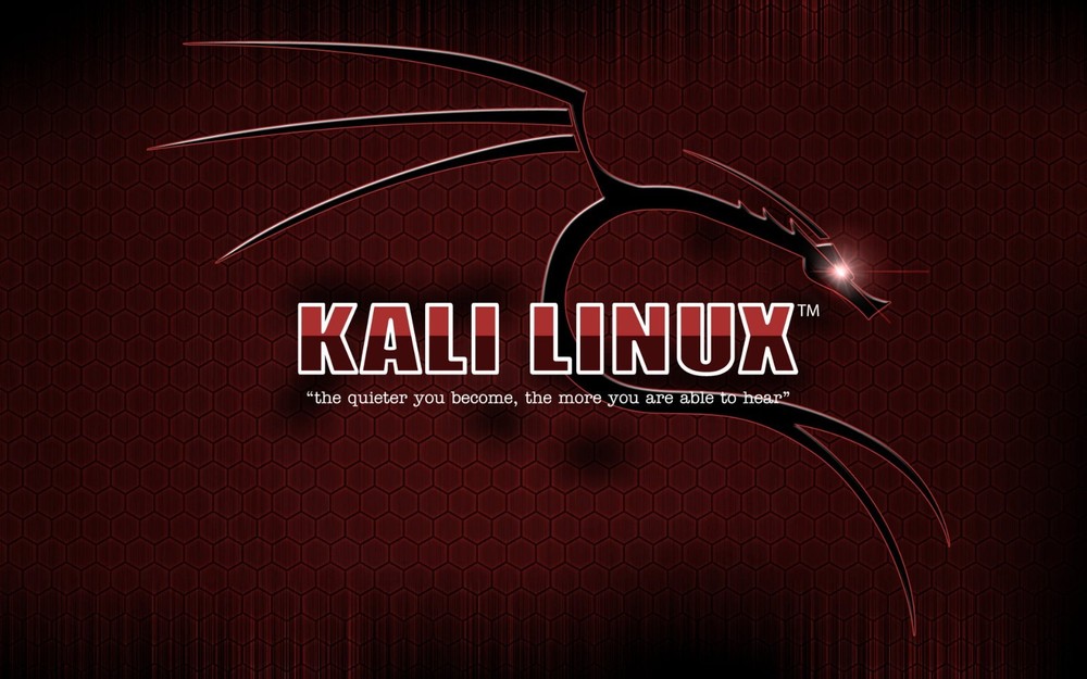 Kali Linux Purple 2025.2 Bootable USB (64-bit, Legacy & UEFI Compatible)