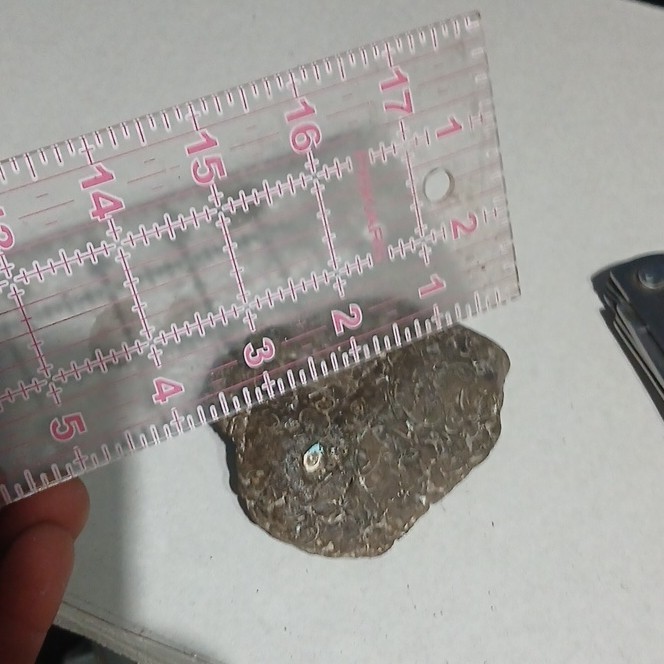 Fossilized Stone with Visible Shell Impressions and Fossil Patterns, 12cm