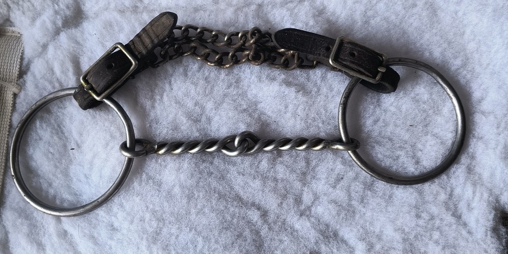 O-Ring Thin Twisted Wire Snaffle With Curb Chain
