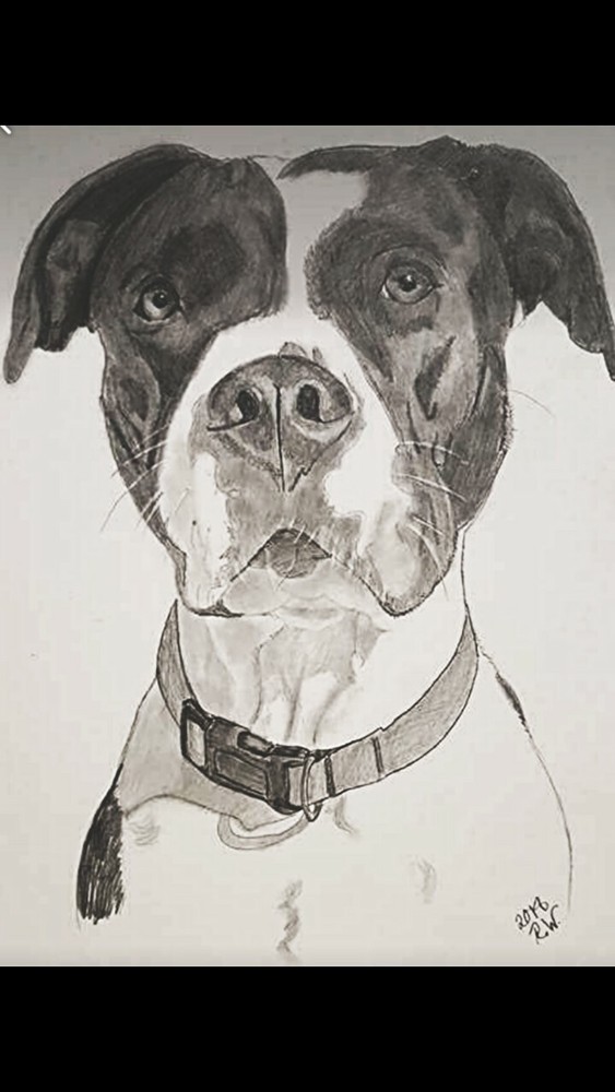 pencil portrait
