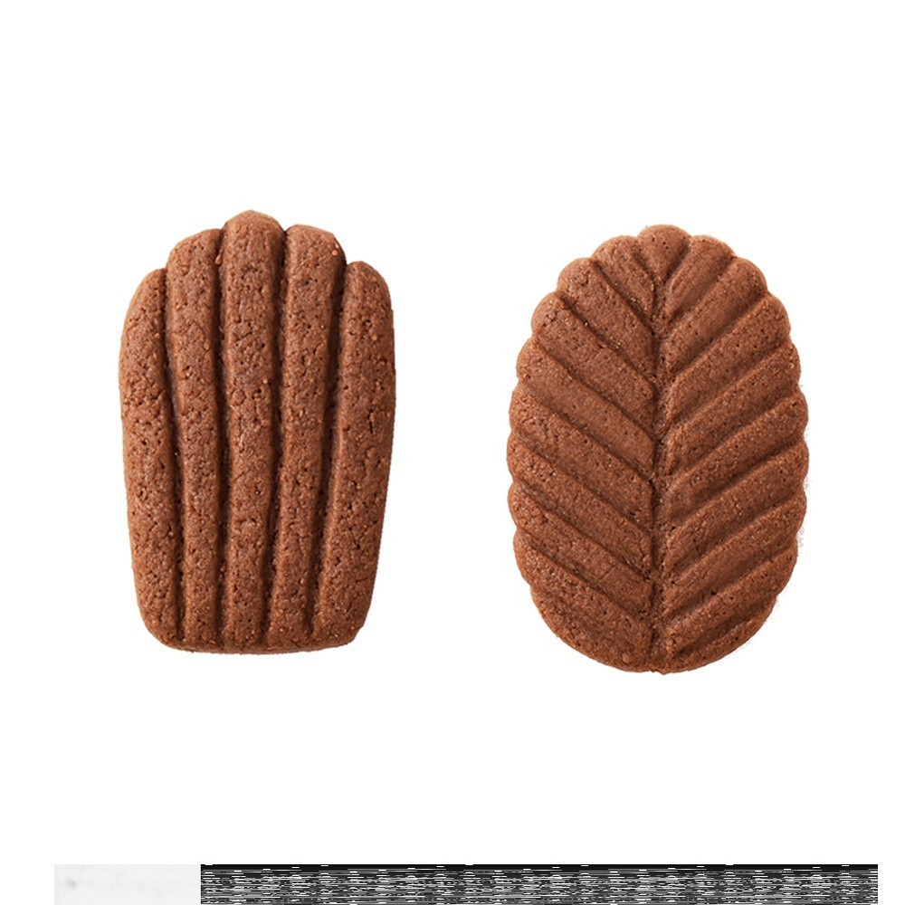 Chocolate mold, cookie mold, silicone baking mold, shell and leaf shape,...