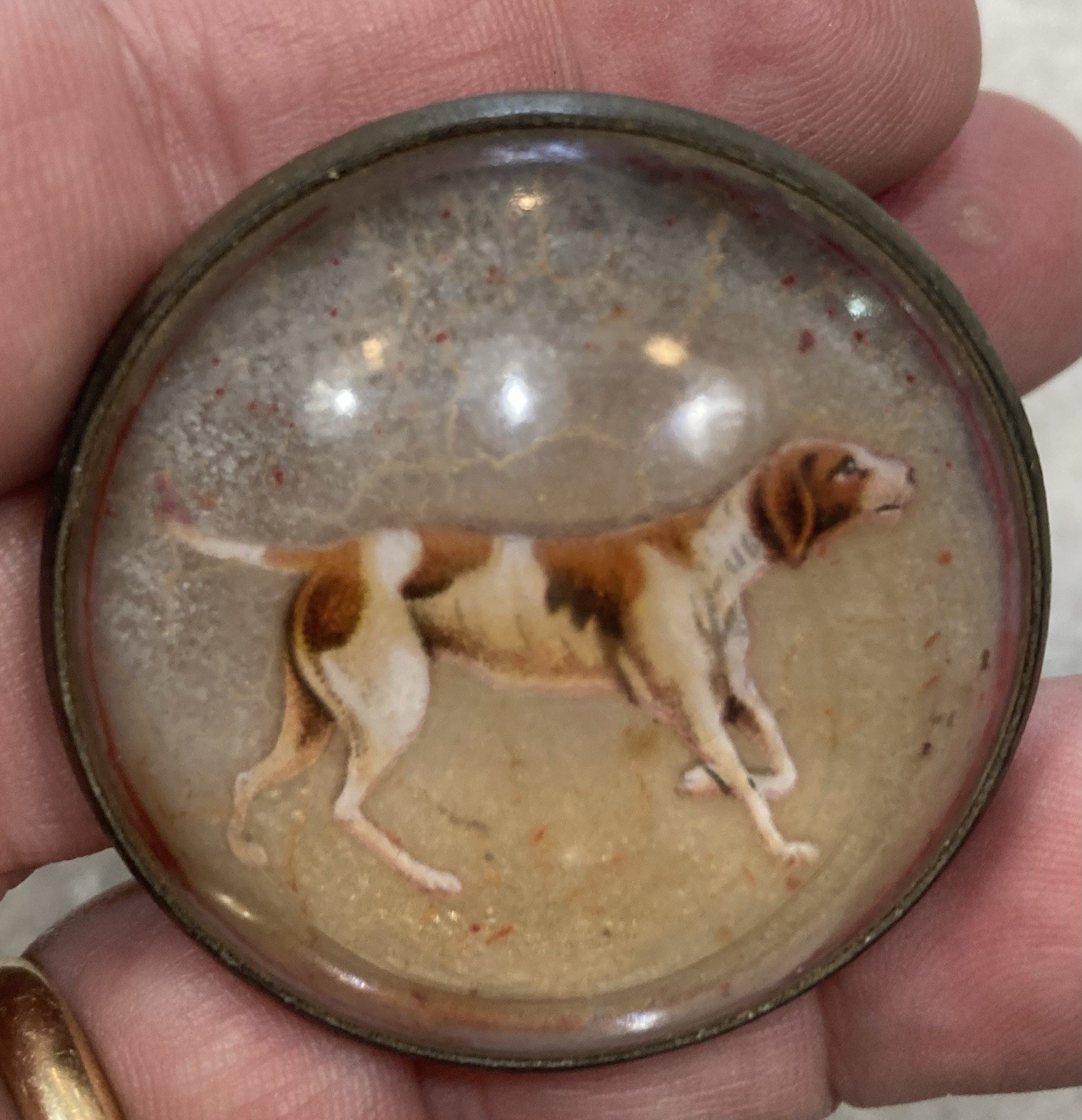 Antique Original Vintage Horse Bridle Rosette Bird Dog Brass And Glass Free Ship