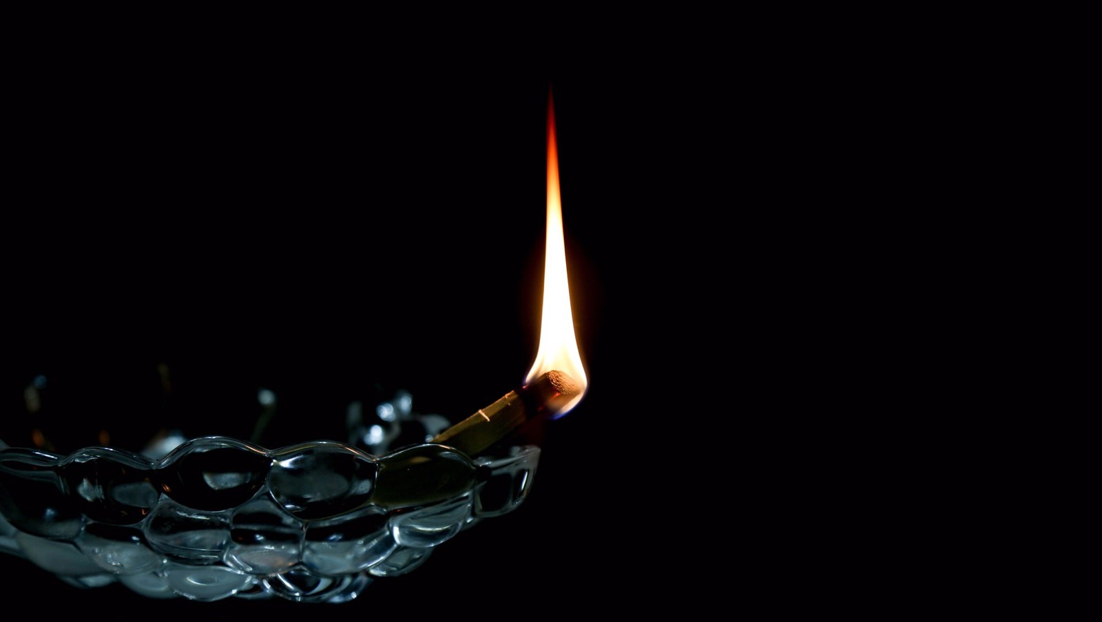 Palo Santo 1 LB Bag (75 STICKS APPROX - 4+inches long)