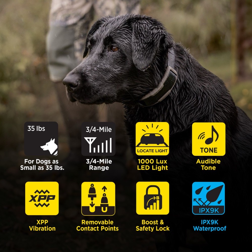 Dogtra 1900X Remote Training Collar 3/4 Mile Range, Boost and XPP Vibration
