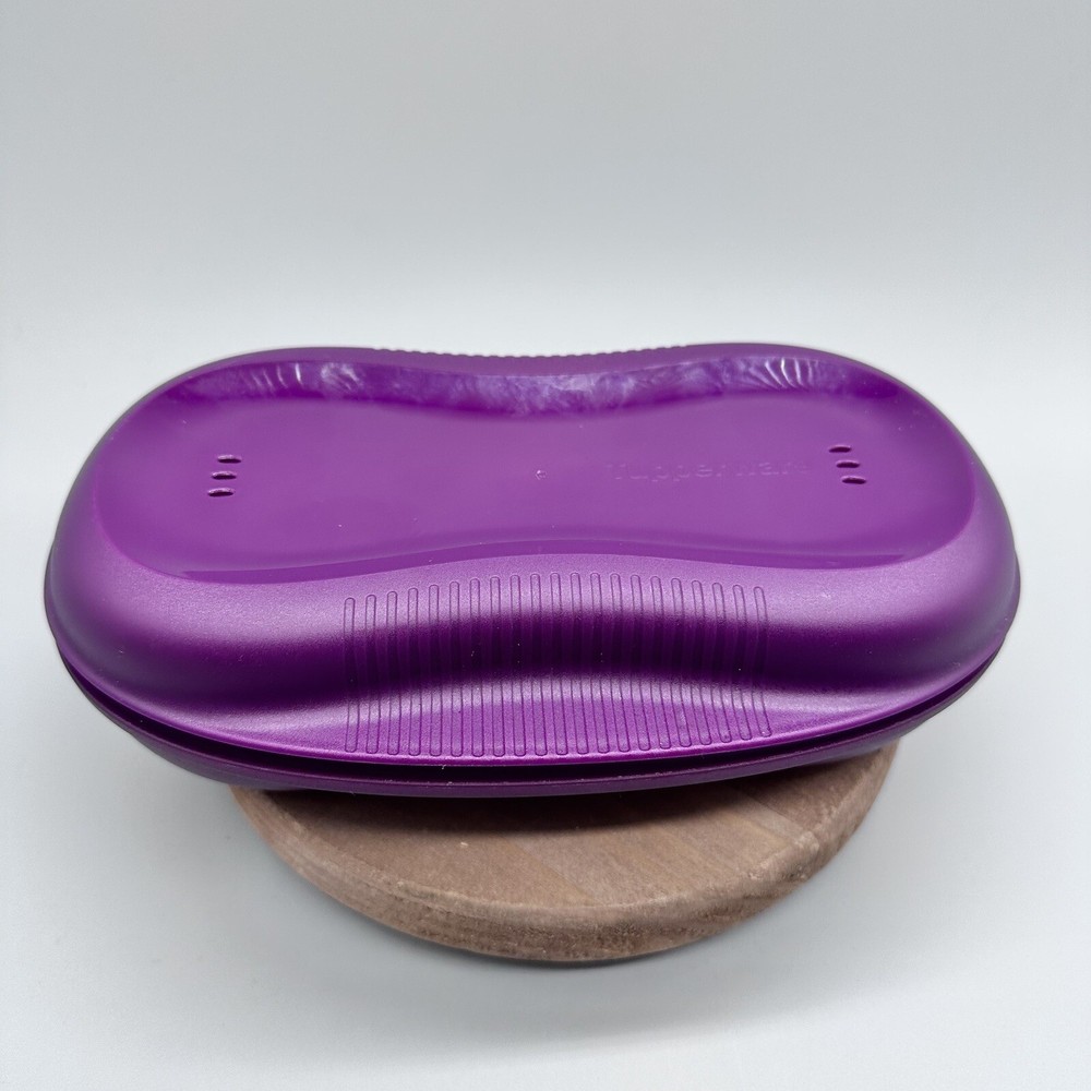 Tupperware Microwave Breakfast Maker Plus Two Egg Inserts Purple New w/ Manual