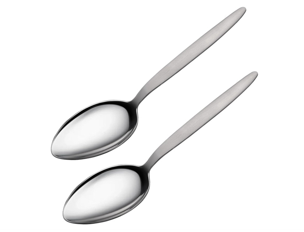 2-Pack Chef Kunz Spoon | Silver Stainless Steel 2 Tbsp Basting Spoon