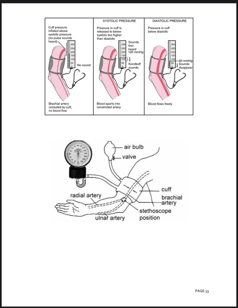 Nursing Student Study Guide NEW UPDATED VERSION 2025