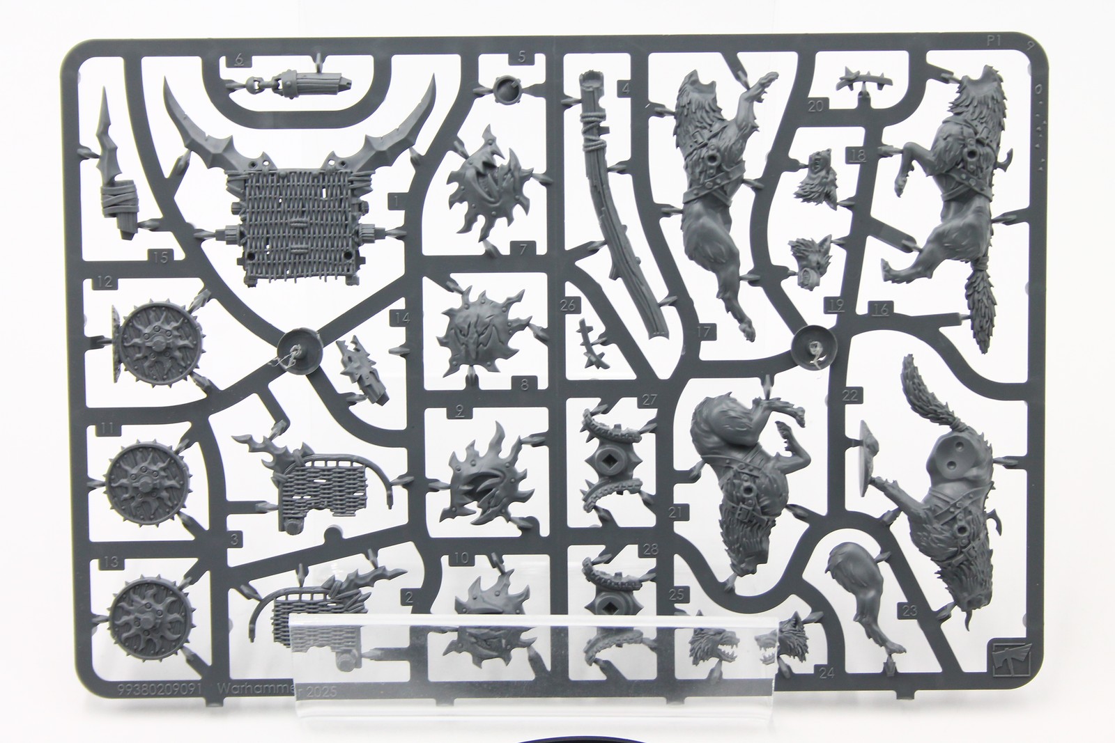 Warhammer AOS Gloomspite Gitz: Sunsteala Wheela (1x, On Sprue)