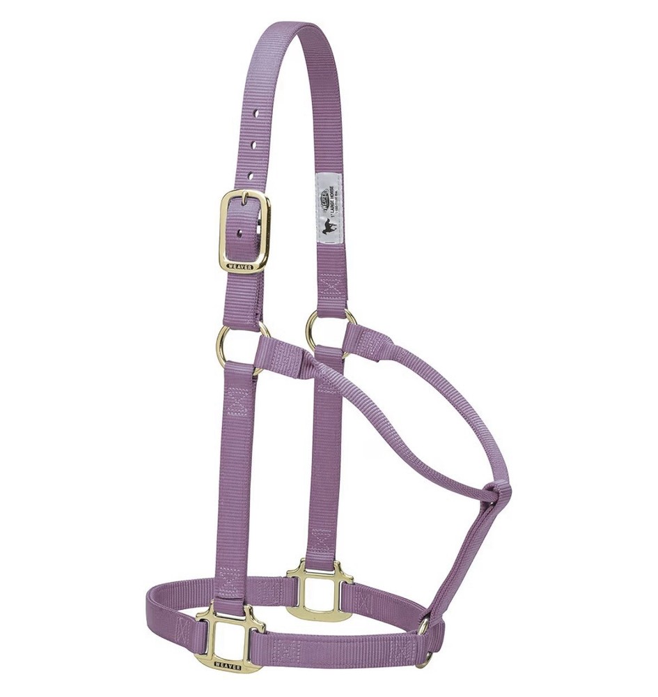 Weaver Nylon Horse Halter - 1” Average Horse Size