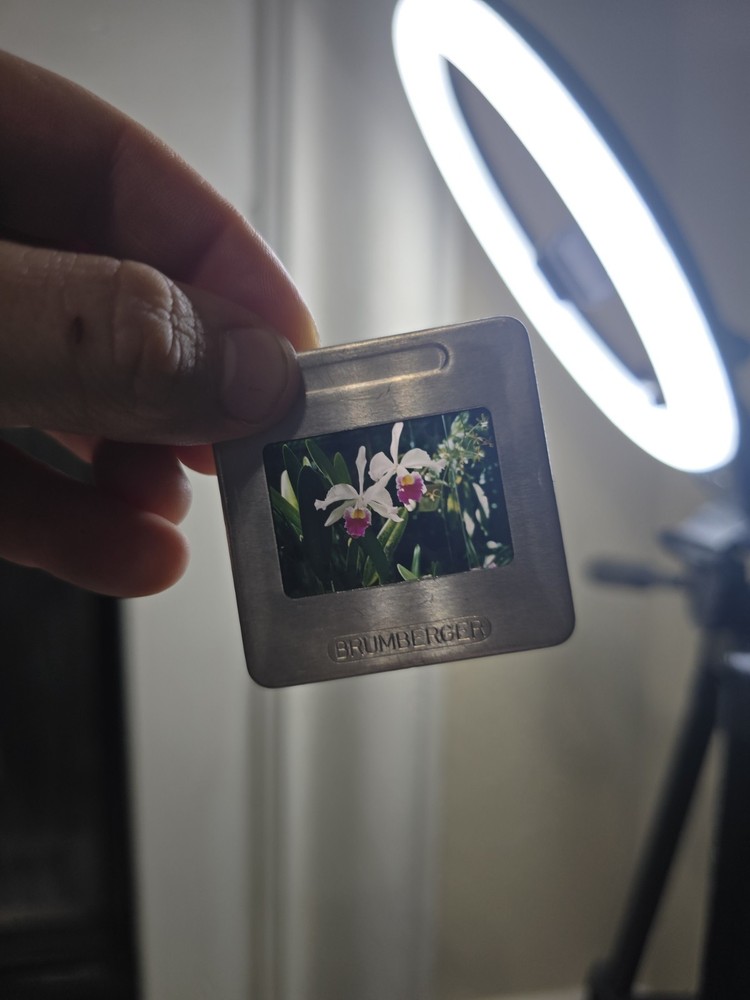 4 1950s Davidson Brumberger Slides Metal