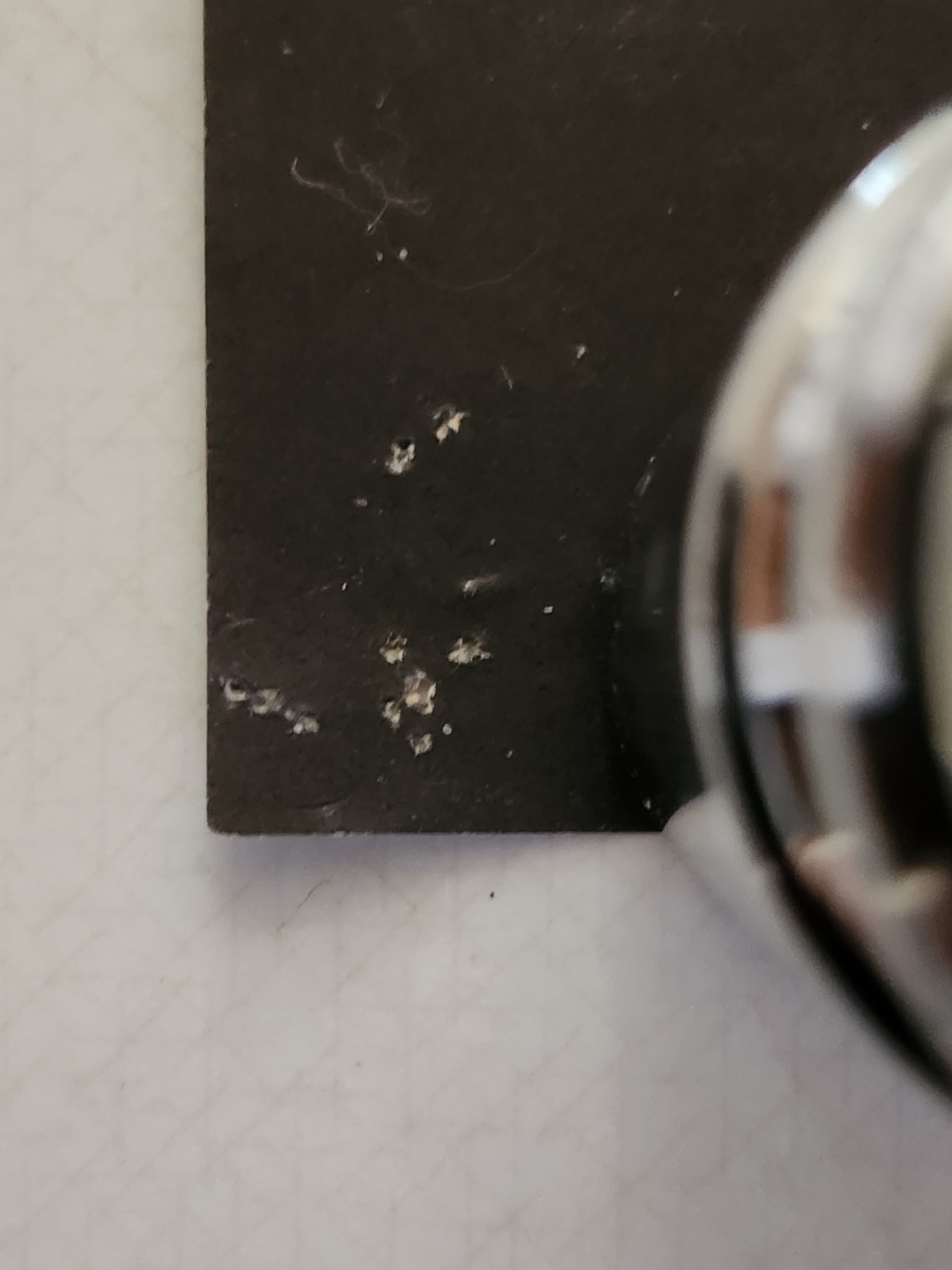 Original Grateful Dead Concert Poster For Family Dog on the Great Highway