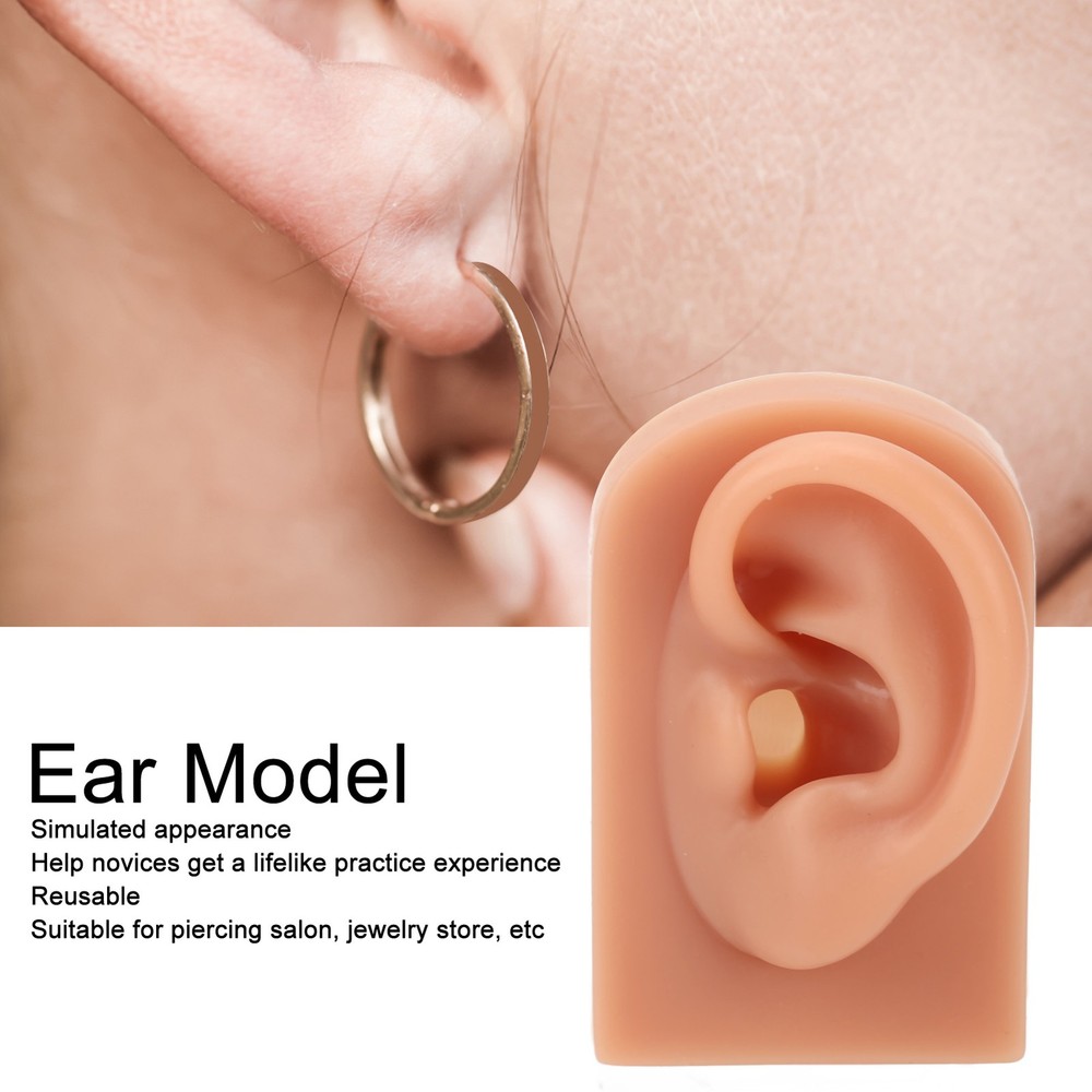 Professional Piercing Practice Ear Model For Earrings Display NEW↑