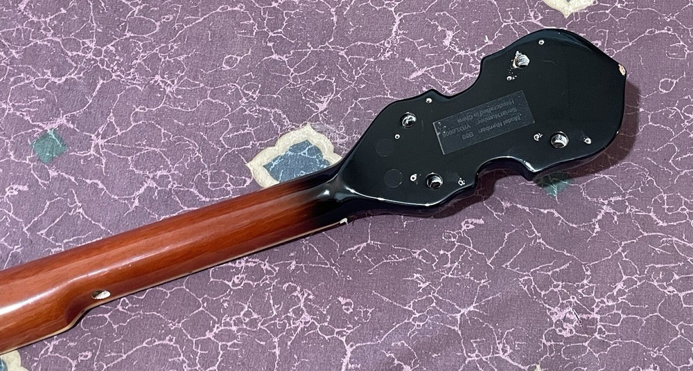 Rogue B30 5-String Banjo Easy Project