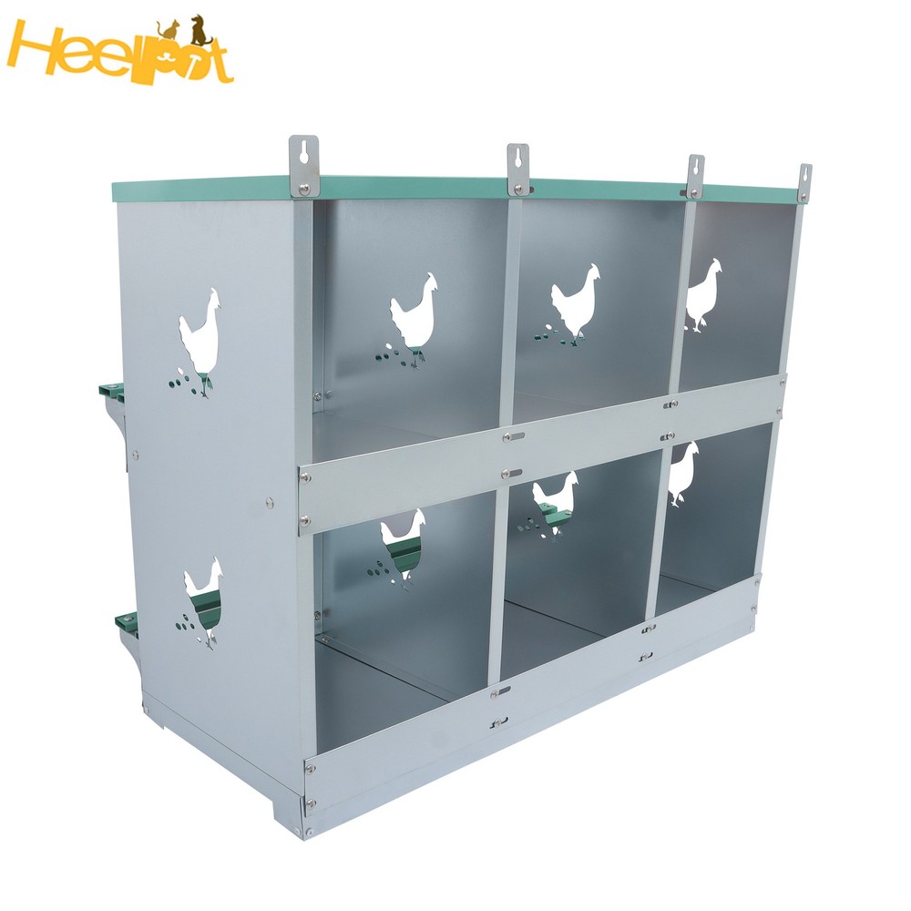 Green 6 Compartments Chickens Egg Laying Box High Quality Materials Nesting Box