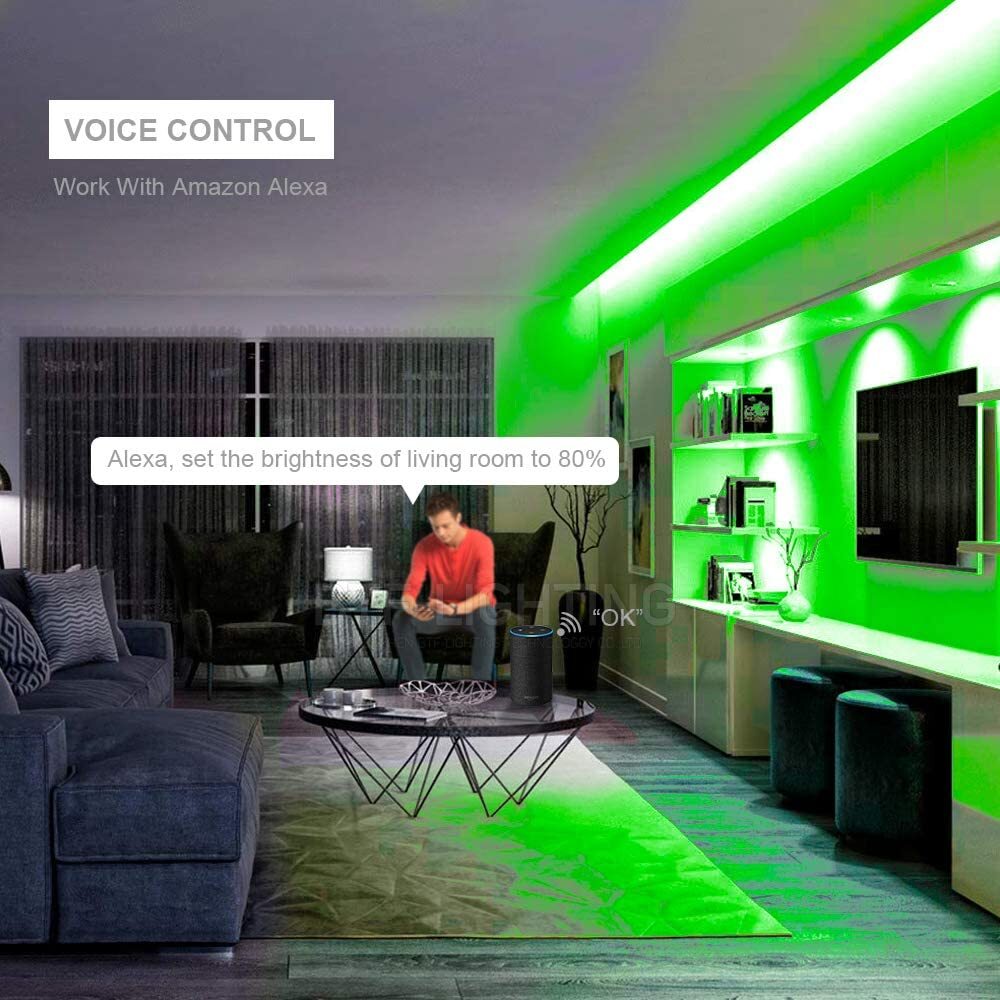 WS2812B WS2811 LED Strip Light Mini LED RF WiFi Bluetooth Music Pixel Controller