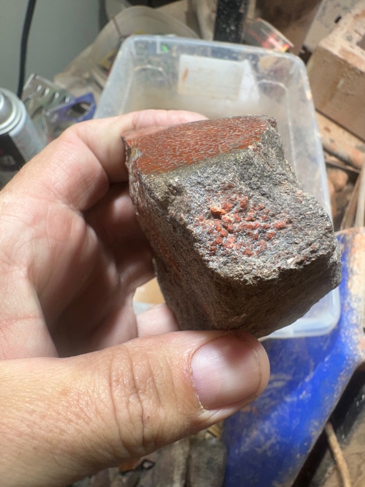Dinosaur bone rough polished specimen