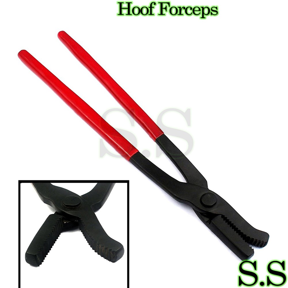 Hoof Forceps Coated 30cm Veterinary Instruments VT-123