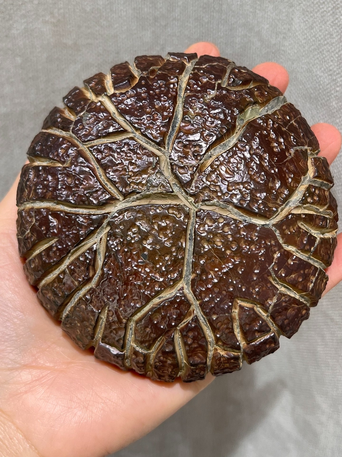 China Natural stone "tortoise back pattern" stone Moire stone  10.7x10.4x4.8