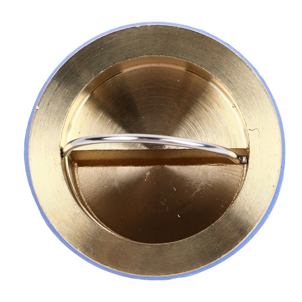 ♡ Toilet Floor Drain Deodorizing Core Floor Drain Core Shower Floor Drain Back