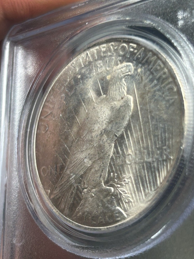 1923 $1 Peace Silver Dollar PCGS MS 64 CAC Older Solid Blue Label