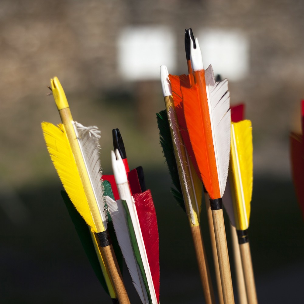 50Pcs Archery Arrows Nocks 4.2mm Insert Arrow Nock Replacement White