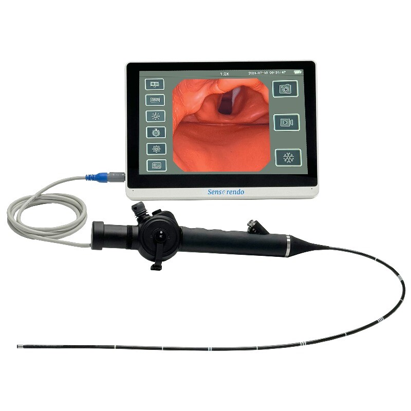 8-15.6 inch Touchscreen Display Flexible Video Laryngoscope / Rhinolaryngoscope