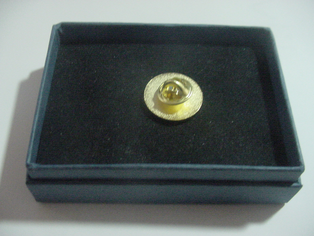 U.S. Department of Veterans Affairs VA lapel pin new