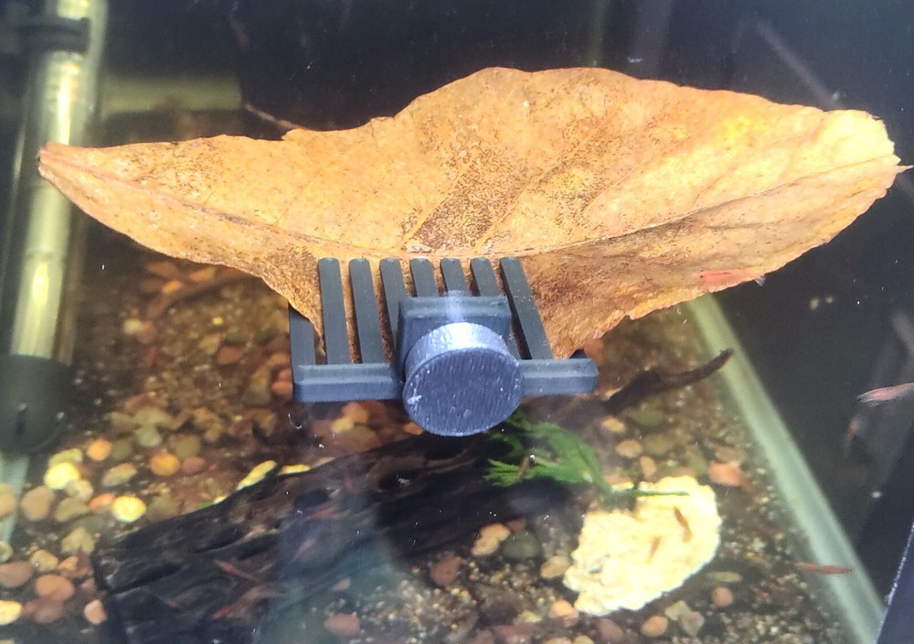 Magnetic aquarium leaf holder for shrimp and betta fish