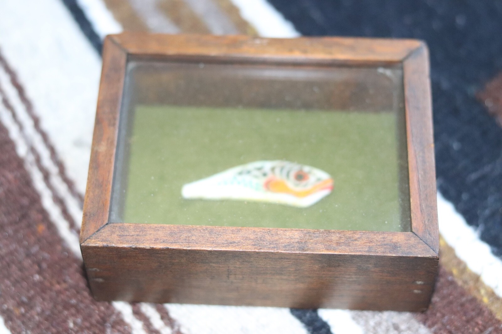 OLD NORTHWEST COAST painted shell art killer whale fetish Tlingit First Nations