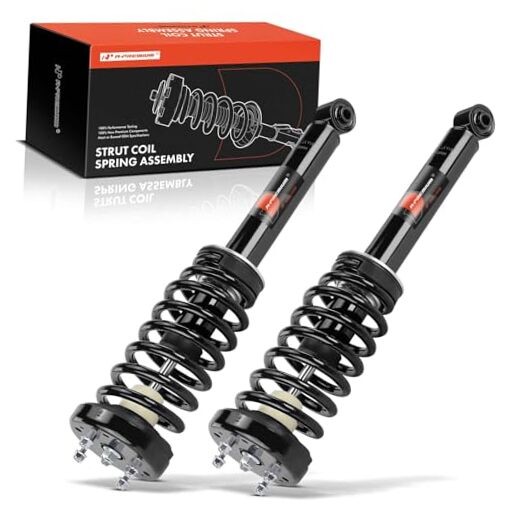 Front Pair (2) Complete Strut and Coil Spring Assembly Compatible with Jaguar