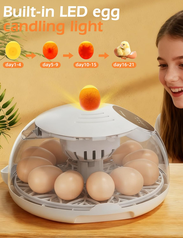 Incubators for Hatching Eggs, 12 Egg Incubator with Automatic Egg Turning and Te